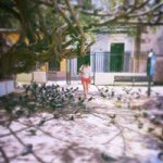 Grisel Nieves - @gnieves6945 - Instagram