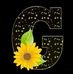 Griselda Aleman - Facebook