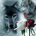 Giselle Sanchez - Facebook