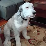 Grover Barker - @groverbarker7 - Instagram