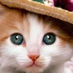 Browning Grover - Facebook