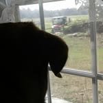 Grover Mulholland Browning - @groverbrowning - Instagram