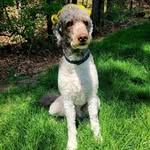 Grover Griffith - @groovinggrovergriffith - Instagram