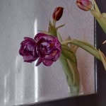 Grover Halek - @groverhalek - Instagram
