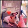 Sheri Hicks-Grover - @sheri.hicksgrover - TikTok