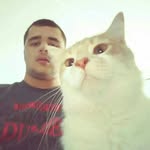 NimbleMender52 - @grover.king - Instagram