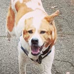 Grover Mason - @grovermason1 - Instagram