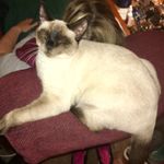 Grover Richardson - @grover.richardson.7 - Instagram