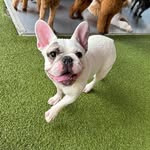 Grover Stanley Waller - @findmeinthegrover - Instagram