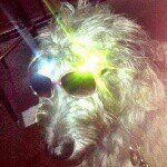 Grover - @groverstone - Instagram