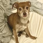 Grover Young - @groverwestcoast - Instagram