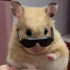 Guadalupe Colunga - @guadalupecolunga_ - TikTok