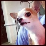 Guadalupe Evans - @guadalupeevans607 - Instagram