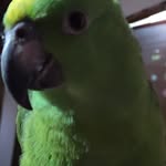 Guadalupe limón - @guadalupelimon43 - Instagram