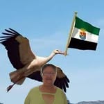 Guadalupe Amado Picado - @guadalupeamadop - Instagram