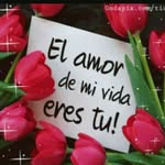 guadalupe valentin - @guadalupevalentin3083 - Instagram