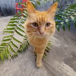 Guadalupe Vidal - @guadalupe.vidal.9619 - Instagram