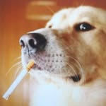 王冠楠 - @wang.guannan - Instagram