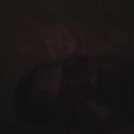 Guerline Paul - @guerlinepaul - Instagram