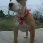 Guido Gonzalez - @guido9776 - Instagram