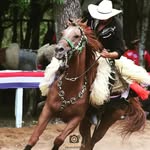 Guido Gonzalez - @guidogonzalez23 - Instagram