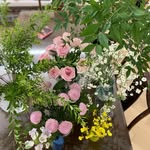 Guihua Chen - @guihua7708 - Instagram