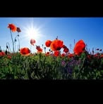 Guillermina Solorio - Facebook