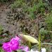 Guillermo Antillon - Facebook