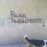 Guillermo Cadena Castro - @guillermocadenacastro - Instagram