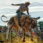 Guillermo Cadena Flores - @guillermocadenaflores - Instagram