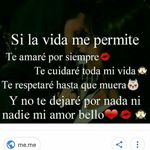 guillermo carrera - @guillermo_carrera_ - Instagram