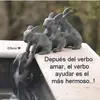 Guillermo Carrera - @guillermo.carrera6 - TikTok