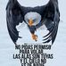 Guillermo Damian - Facebook