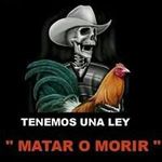 Guillermo Gallardo - @gallardo.guillermo - Instagram