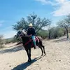 Guillermo Gallardo - @guillermo.gallard193 - TikTok