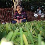 Guillermo Gama - @gmx1613 - Instagram