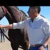 Guillermo Maciel - @guillermo.maciel6 - TikTok