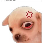 Guillermo Millan - @gammillguillermo - Instagram