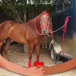 Guillermo Nevarez - @nevarezguillermo476 - Instagram