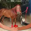guillermonevarez88 - @guillermonevarez88 - TikTok