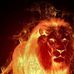 Guillermo Noboa - Facebook