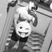 Guillermo Ortiz Noboa - Facebook