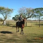 Guillermo Ocampo - @guillermo.ocampo.7106 - Instagram