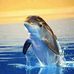 Guillermo Orrantia - Facebook