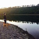 Felipe Guillermo Campos Oyarce - @fcampos.g - Instagram