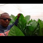 Guillermo Padron - @guillermo.padron.9847 - Instagram