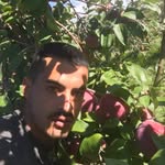 Guillermo Palma - @guillermopalma8 - Instagram