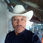 Guillermo Palma - @guillermo.palma.5030 - Instagram