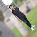 Guillermo Partida - Facebook