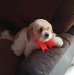 Guillermo Penilla Santacruz - Facebook